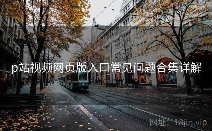 p站视频网页版入口常见问题合集详解