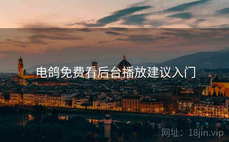 电鸽免费看后台播放建议入门