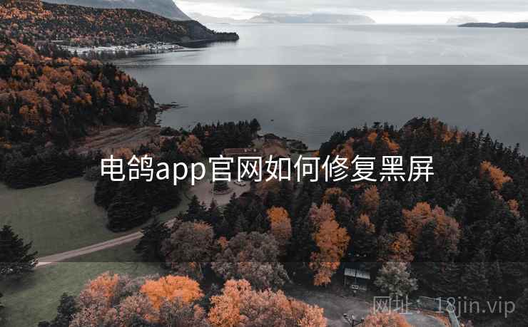 电鸽app官网如何修复黑屏