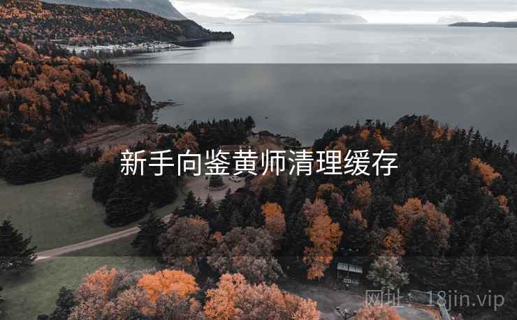 新手向鉴黄师清理缓存